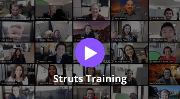 Struts Training