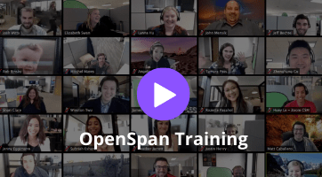 OpenSpan Training