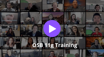 OSB 11g Training