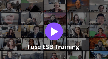 Fuse ESB Training