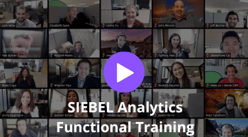 SIEBEL Analytics Functional Training