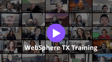 WebSphere TX Training