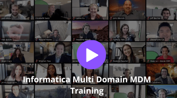 Informatica Multi Domain MDM Training