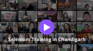 Selenium Training in Chandigarh