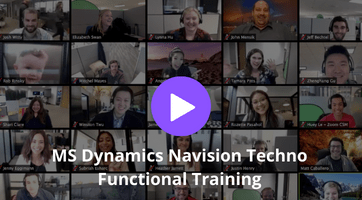 MS Dynamics Navision Techno Functional Training