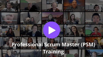Professional Scrum Master (PSM) Training