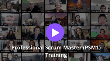 Professional Scrum Master (PSM1) Training