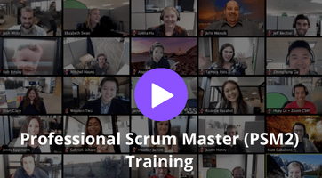 Professional Scrum Master (PSM2) Training