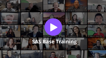 SAS Base Training